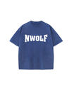Denim Wash Boxy Fit T-shirt